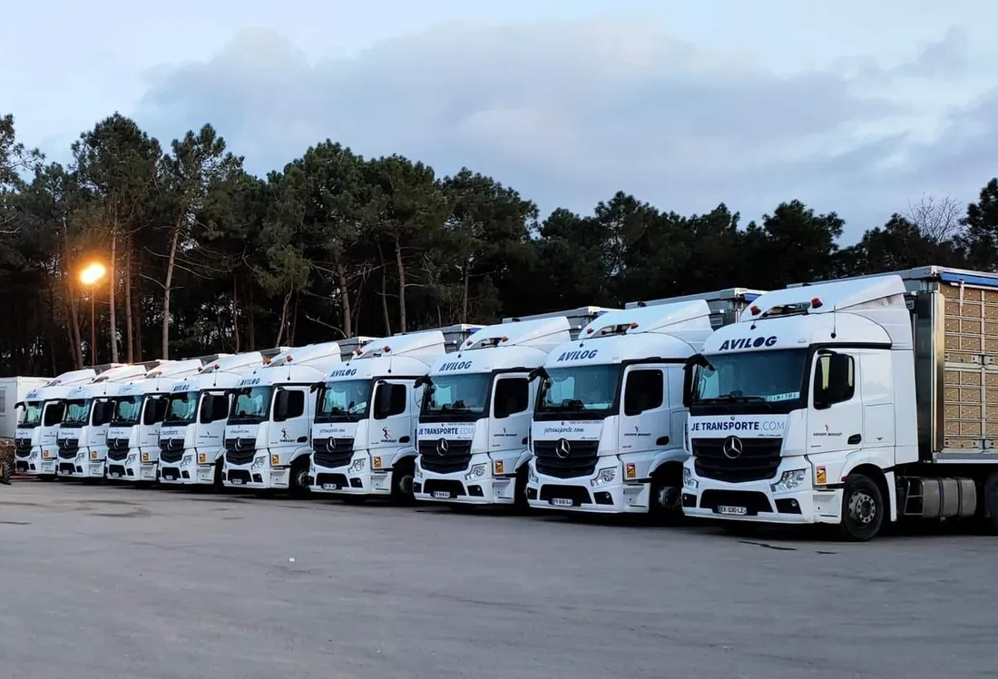 Les camions des Transports Mousset